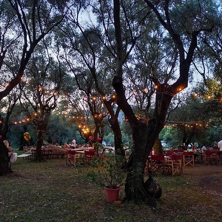 Antico Uliveto Pension Seravezza Buitenkant foto