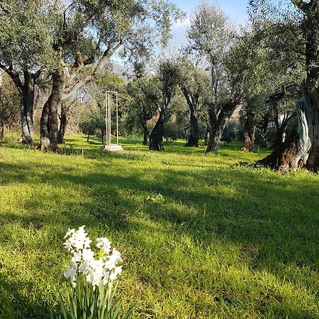 Antico Uliveto Pension Seravezza Buitenkant foto