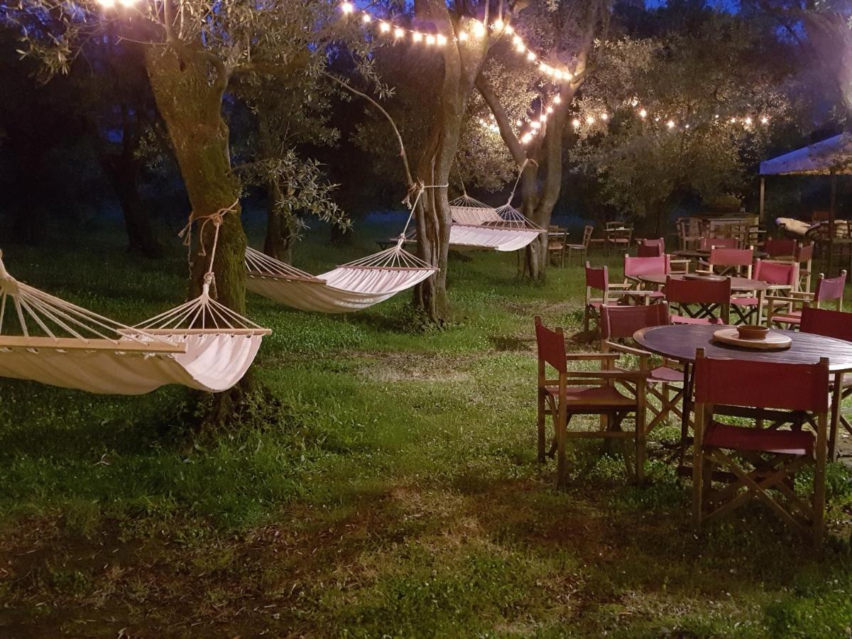 Antico Uliveto Pension Seravezza Buitenkant foto
