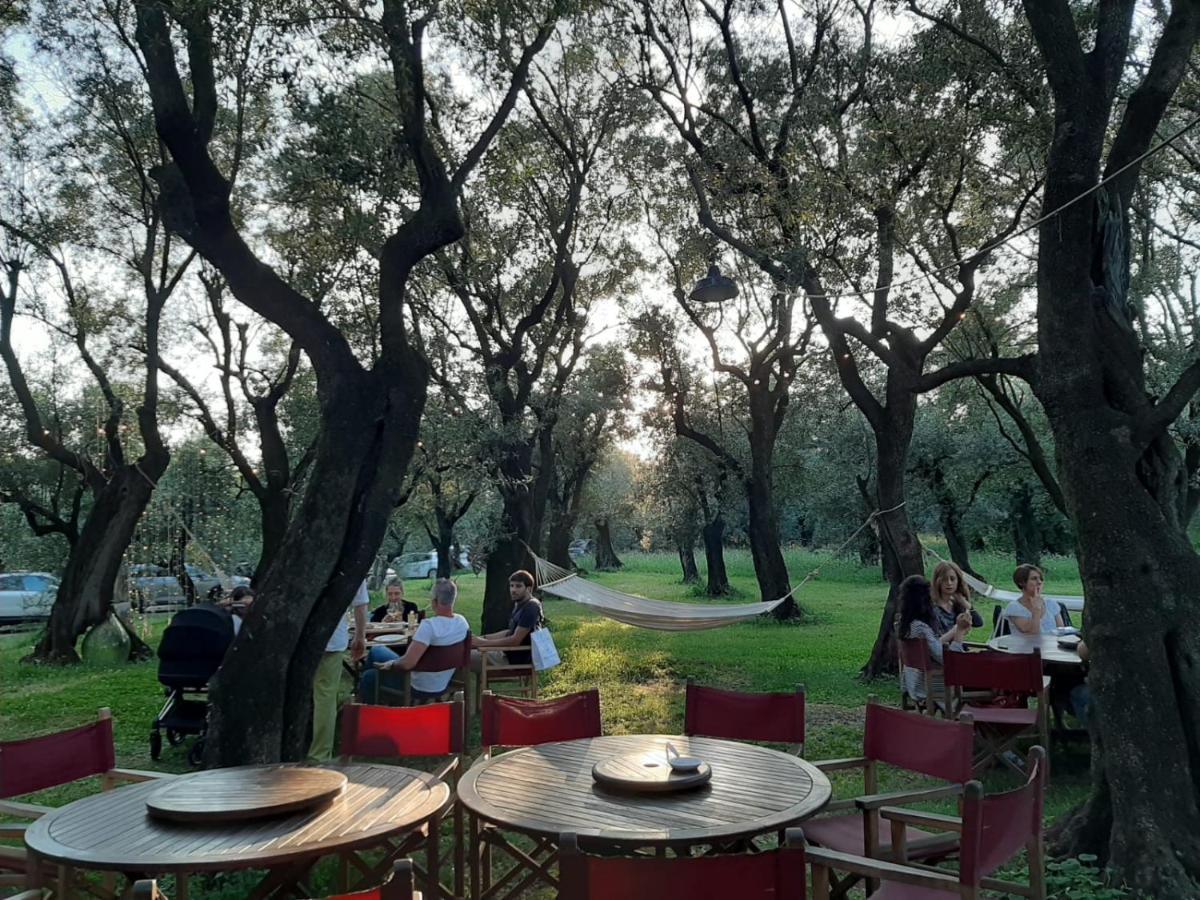 Antico Uliveto Pension Seravezza Buitenkant foto