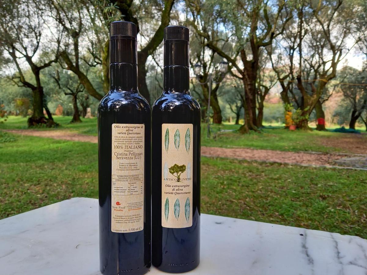 Antico Uliveto Pension Seravezza Buitenkant foto