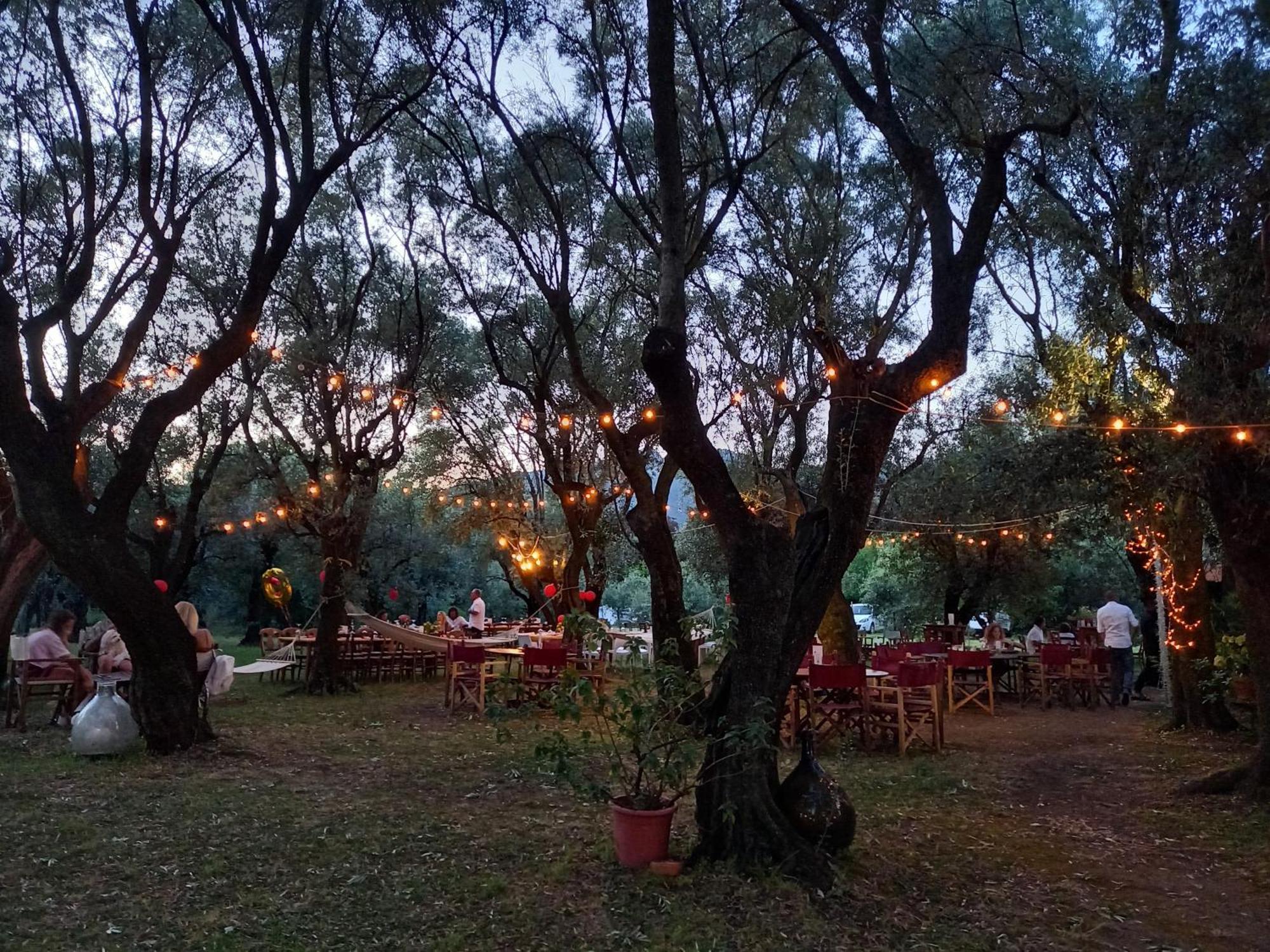 Antico Uliveto Pension Seravezza Buitenkant foto