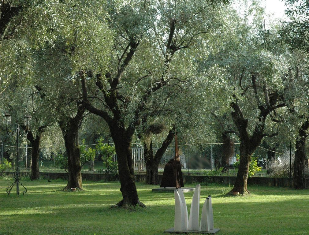 Antico Uliveto Pension Seravezza Buitenkant foto