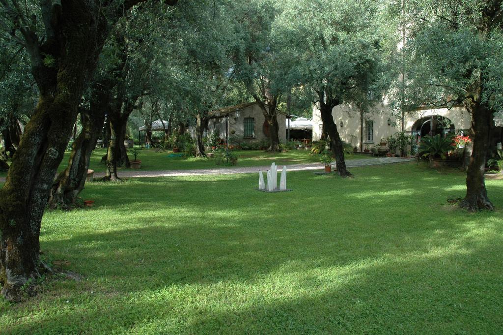 Antico Uliveto Pension Seravezza Buitenkant foto