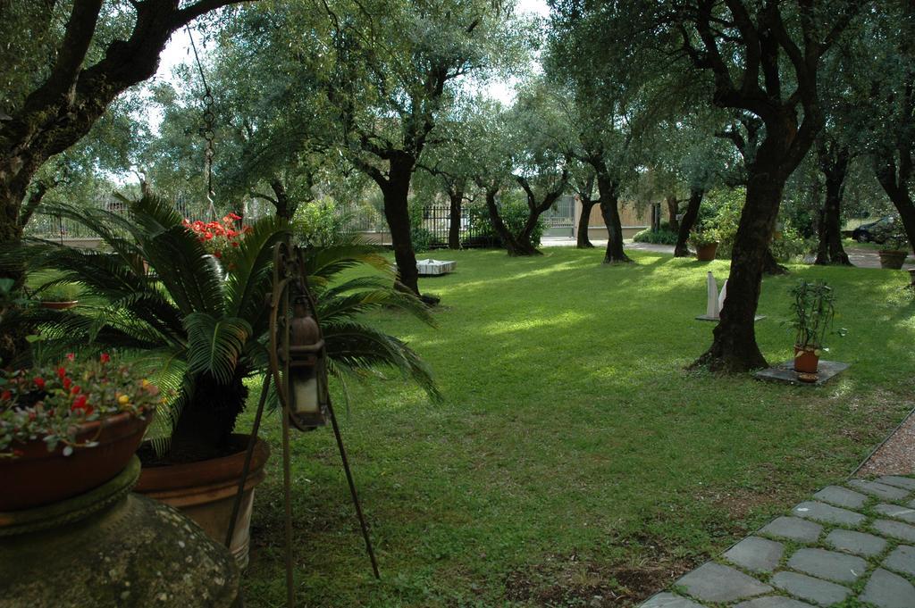 Antico Uliveto Pension Seravezza Buitenkant foto