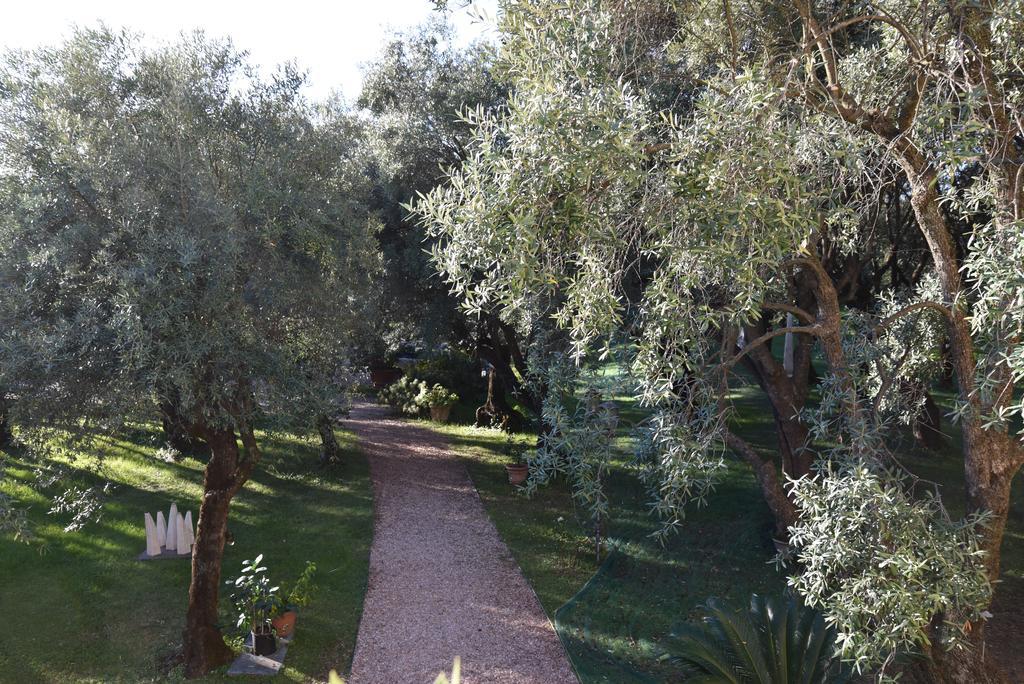 Antico Uliveto Pension Seravezza Buitenkant foto