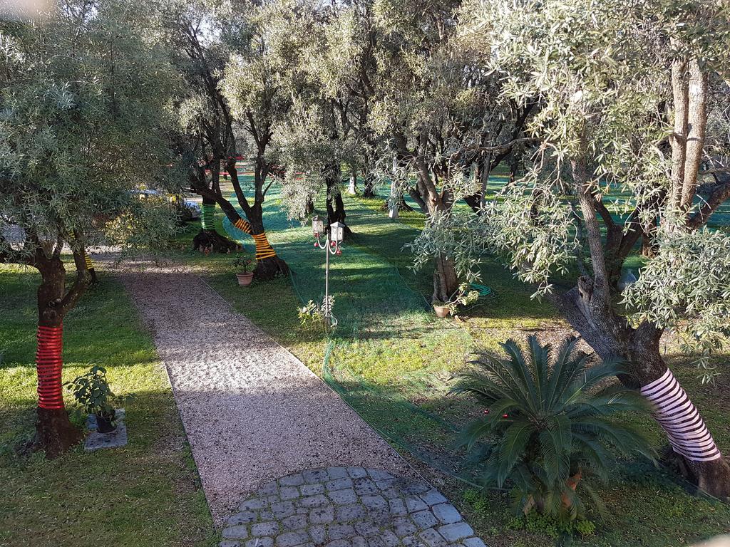 Antico Uliveto Pension Seravezza Buitenkant foto