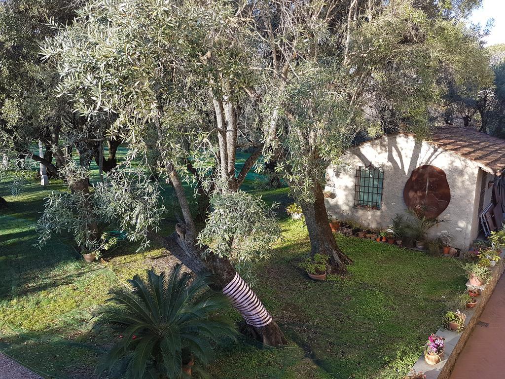 Antico Uliveto Pension Seravezza Buitenkant foto