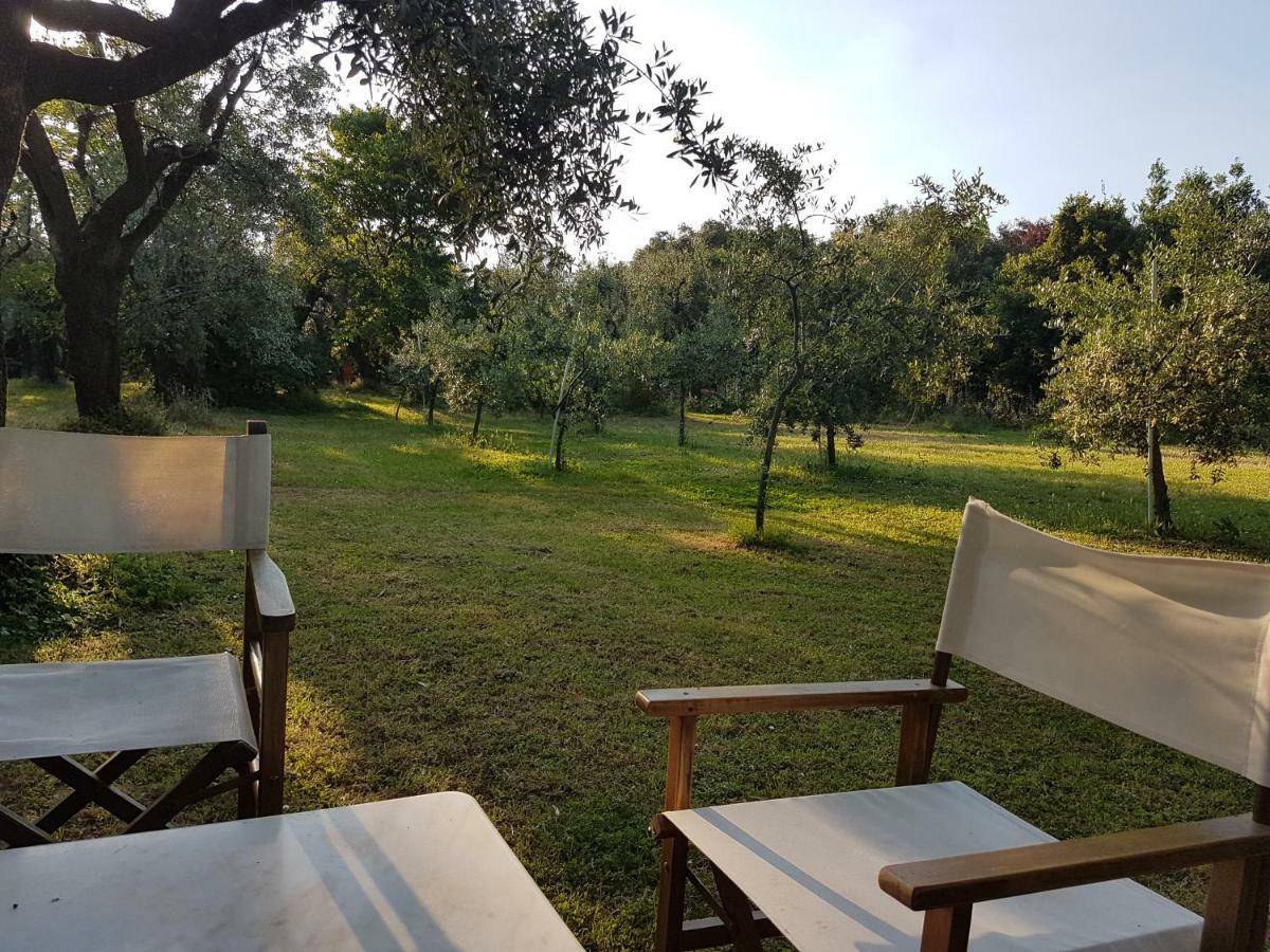 Antico Uliveto Pension Seravezza Buitenkant foto