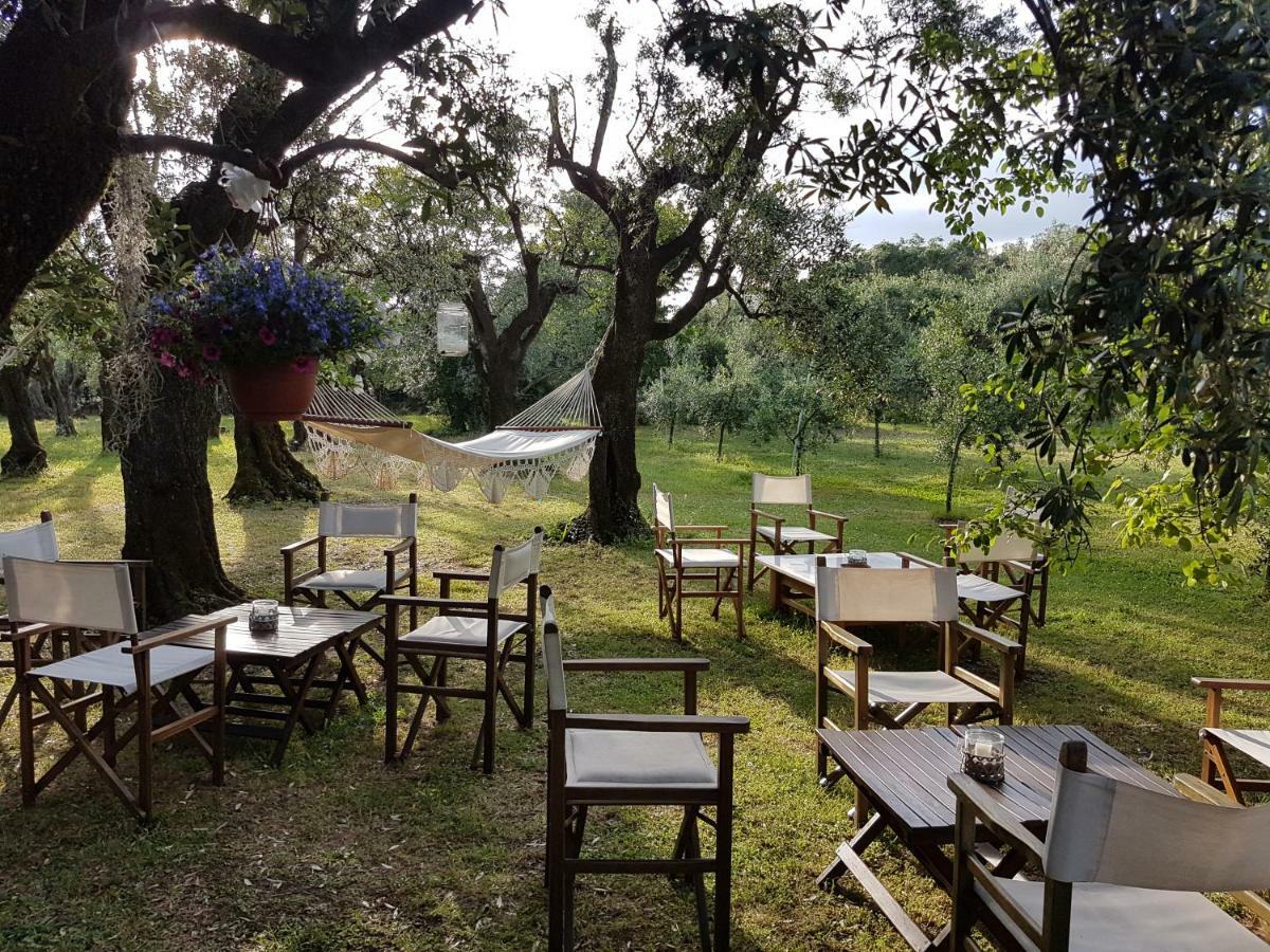Antico Uliveto Pension Seravezza Buitenkant foto