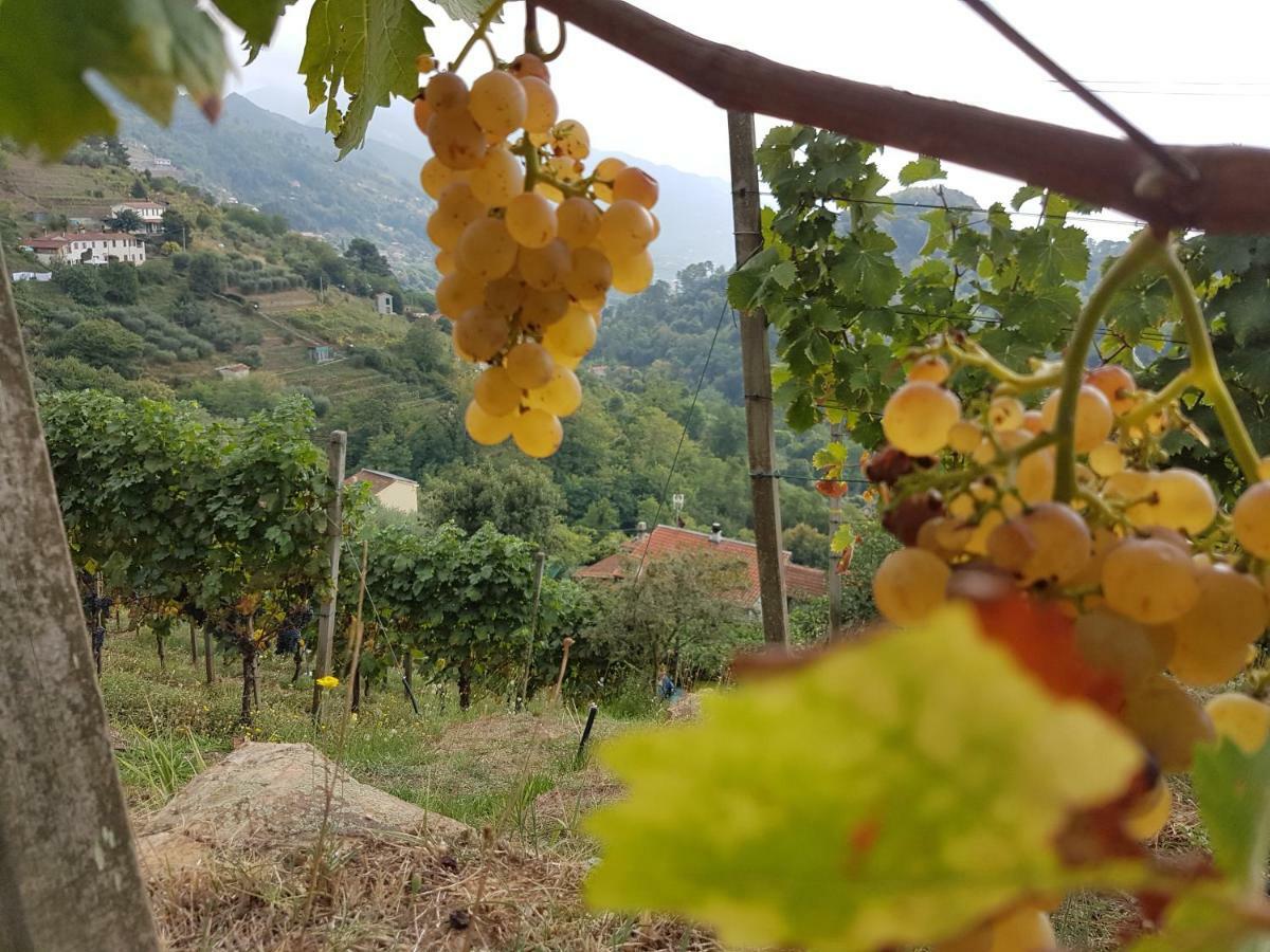 Antico Uliveto Pension Seravezza Buitenkant foto